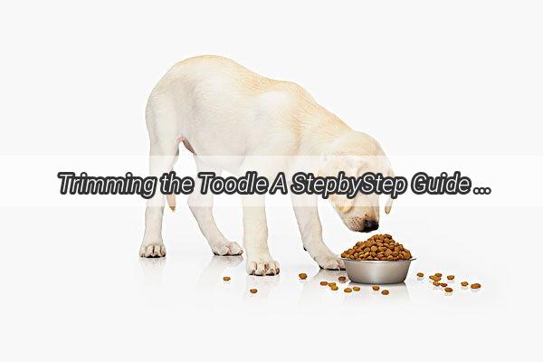 Trimming the Toodle A StepbyStep Guide to Neatly Shaving Your Teddy Dogs Legs